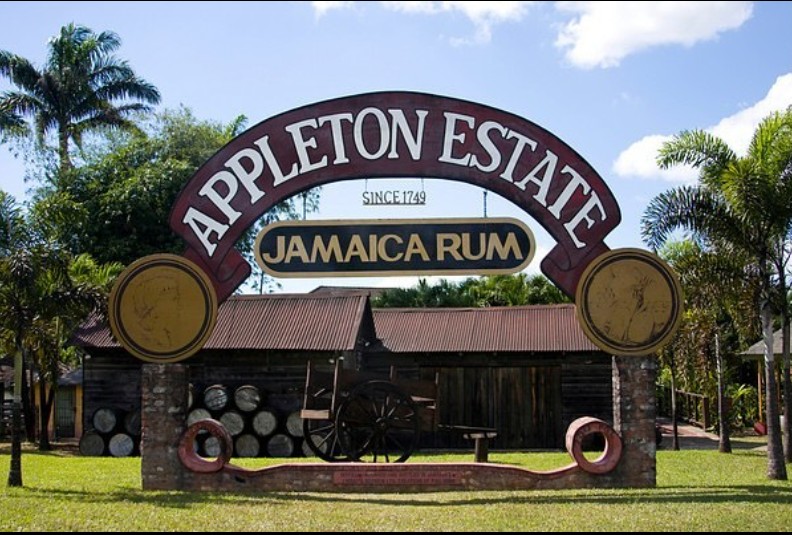 Appleton Rum Estate Tour