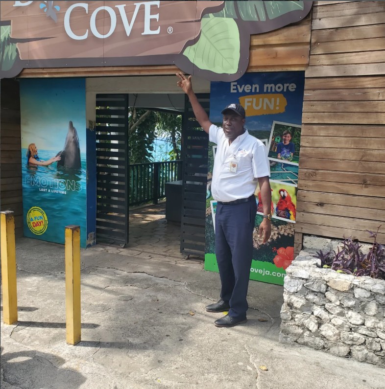 Dolphin Cove